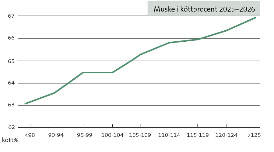 Muskeli köttprocent