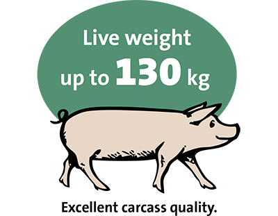 Live weight