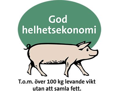 God helhetsekonomi