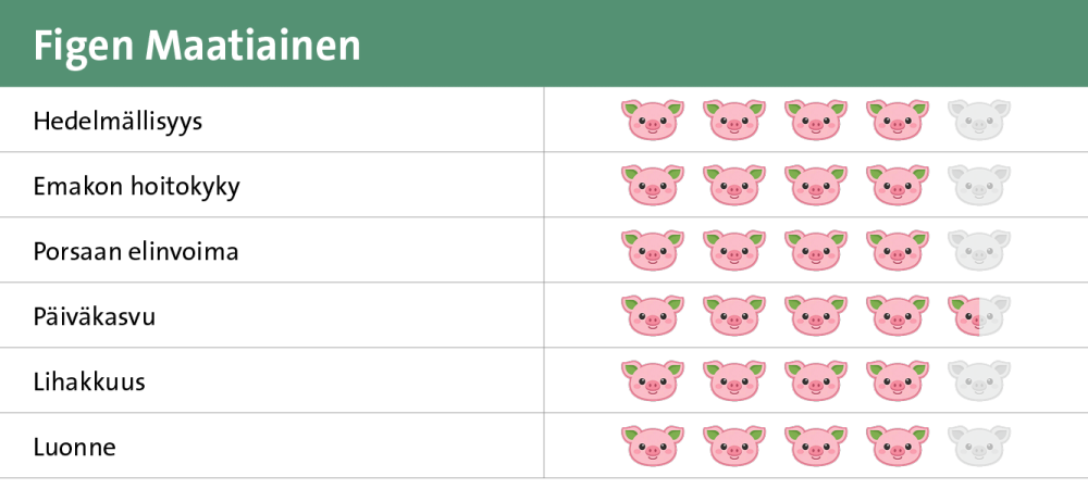 Figen Maatiainen Figen Maatiainen