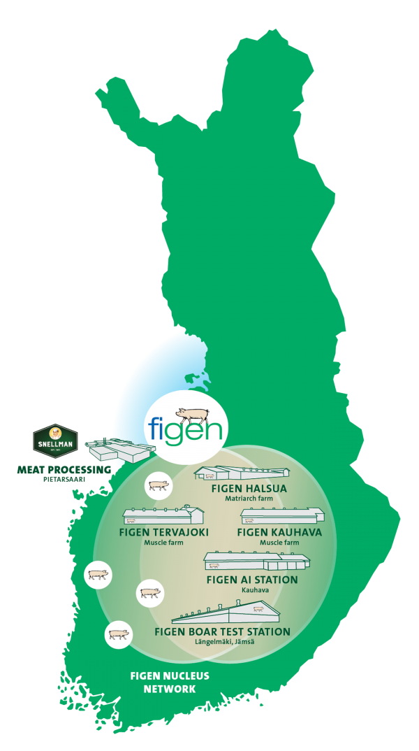 Figen Nucleus Network